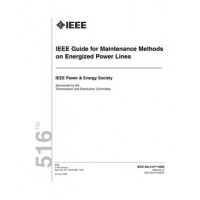 IEEE 516-2009