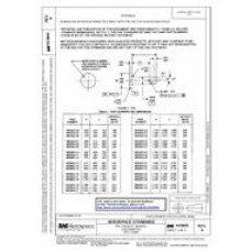 SAE AS9843A