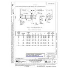 SAE AS4318A