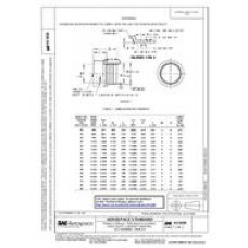 SAE AS5838