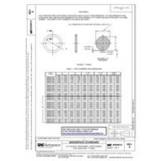 SAE AS29513A