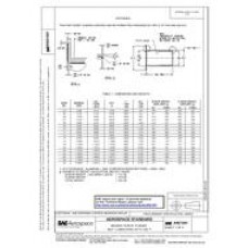 SAE AS21241