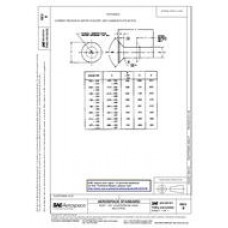 SAE AS 125101B thru AS 125250B