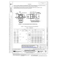 SAE AS 34021B