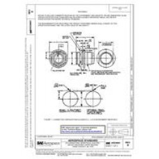 SAE AS34041B