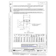 SAE AS 21439B