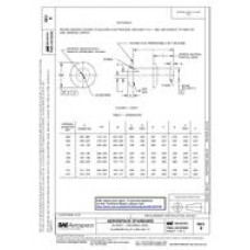 SAE AS125701B