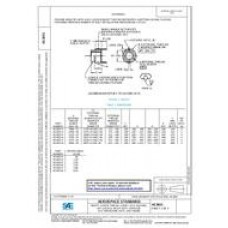 SAE AS3651