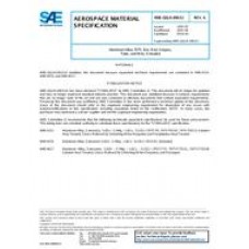 SAE AMSQQA200/11A