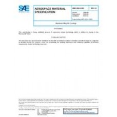 SAE AMSQQA591B