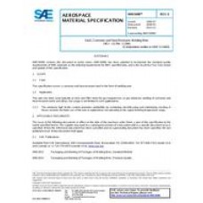 SAE AMS5696E