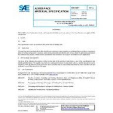 SAE AMS4189J