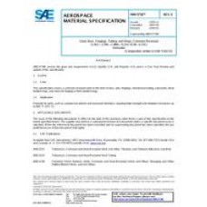 SAE AMS5718E