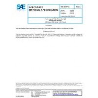 SAE AMS3904/1C