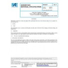 SAE AMS6265P