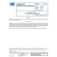 SAE AMS4084E