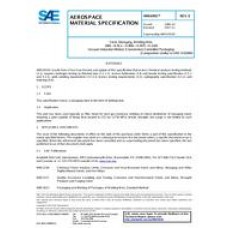 SAE AMS6501E