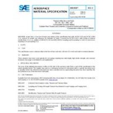 SAE AMS4958E