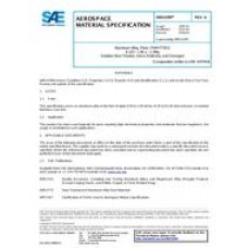 SAE AMS4299A