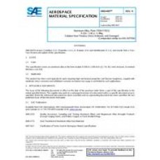 SAE AMS4407A