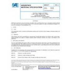 SAE AMS6551A