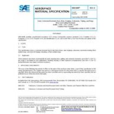 SAE AMS5848E