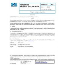 SAE AMSP81728C